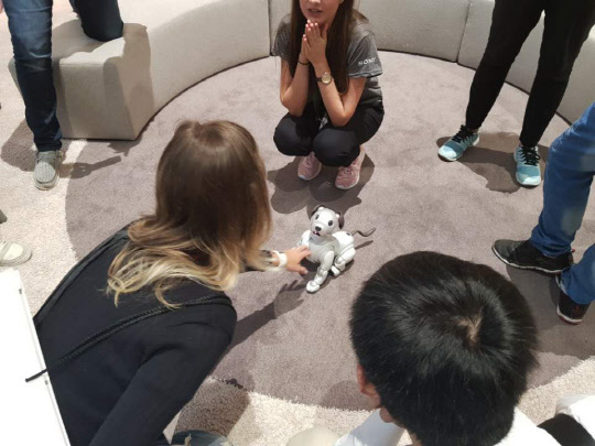 1일(현지시간) 독일 베를린에서 열린 IFA 2018 소니 전시장에서 관람객들이 애완로봇인 '아이보'를 직접 만져보고 있는 모습.